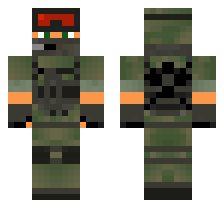 skin