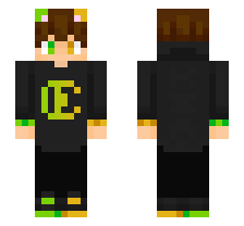 skin