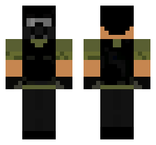 skin