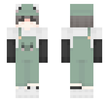 skin