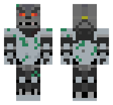 skin