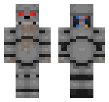skin
