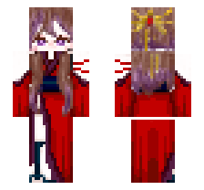 skin