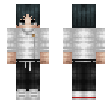 skin