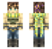 skin