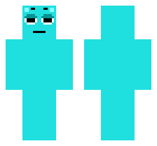 skin