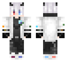 skin