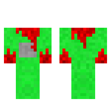 skin