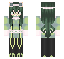 skin