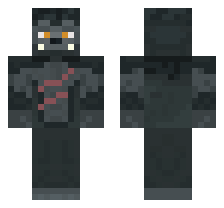 skin