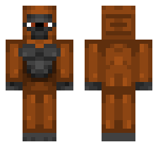 skin