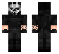 skin