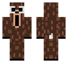 skin