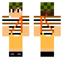 skin