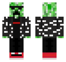 skin