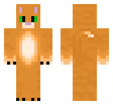 skin