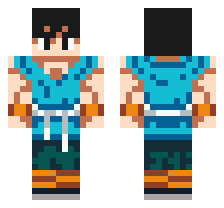 skin