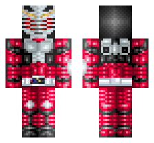 skin