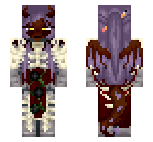 skin