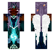 skin