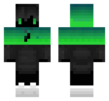 skin