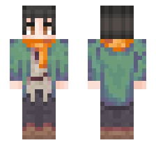 skin