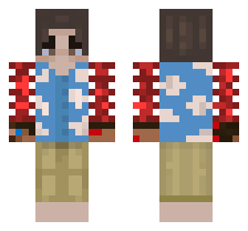skin