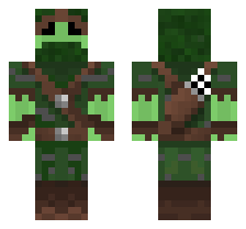 skin