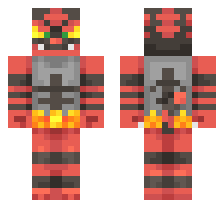 skin