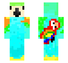 skin