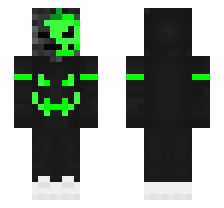 skin