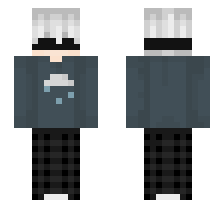 skin