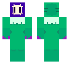 skin