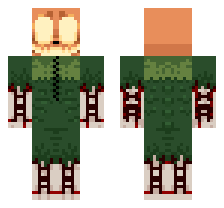 skin