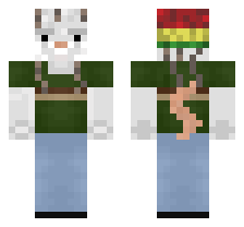 skin