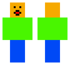 skin