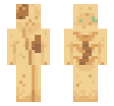 skin