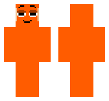 skin