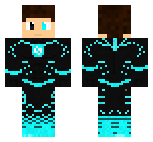 skin