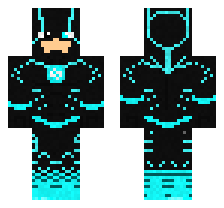 skin