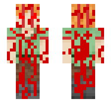 skin