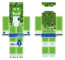 skin