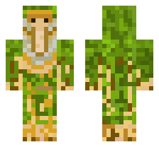 skin