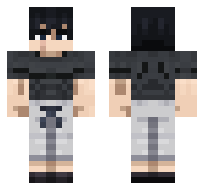 skin
