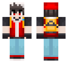 skin