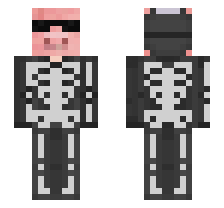 skin