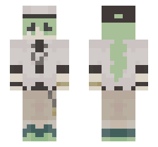 skin