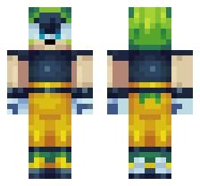 skin