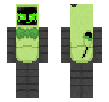 skin