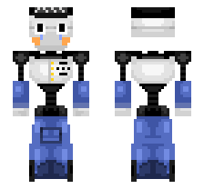 skin